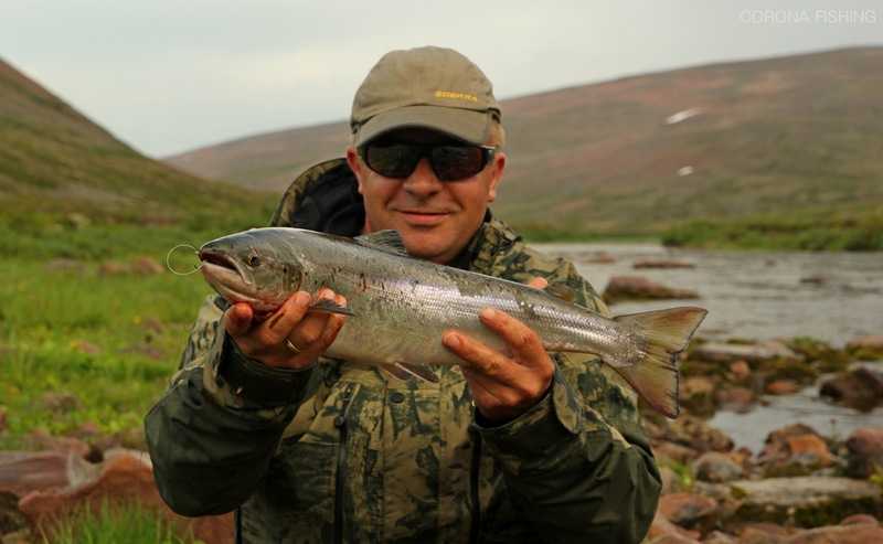 norwegia łosoś na muchę